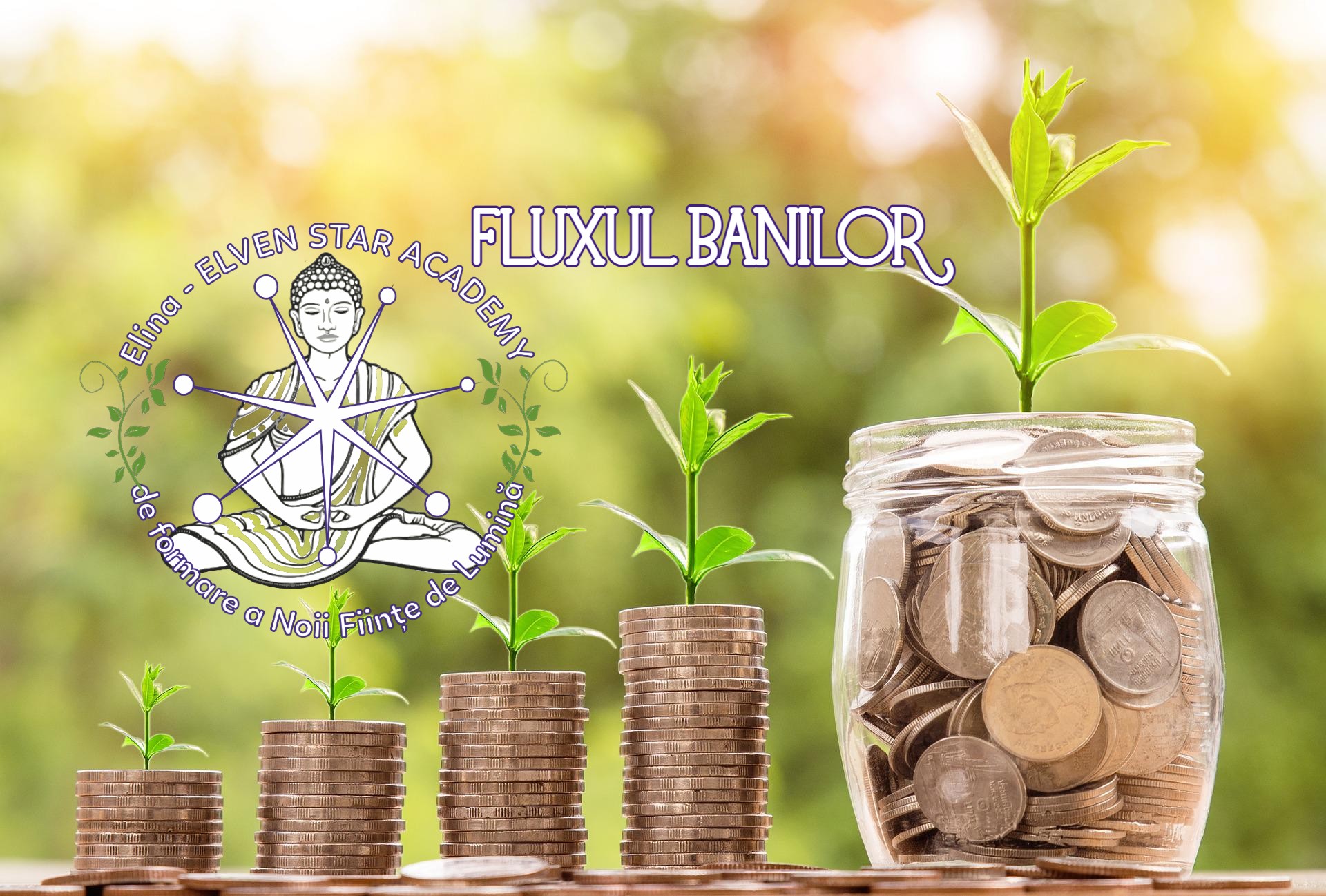 bani. fluxul banilor titlu